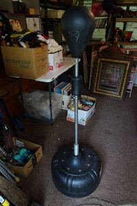 Reflex Boxing Punching Bag