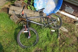 BCA Kobra BMX Bike
