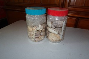 2 Jars of Sea Shells
