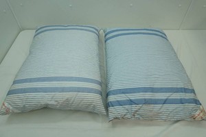 Feather Down Pillows (2ct)