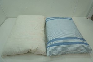 Feather Down Pillows (2ct)