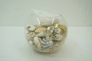 Clear Glass Centerpiece Bowl Vase full of Seashells