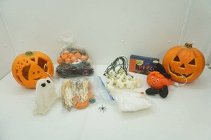Halloween Lights and Decor