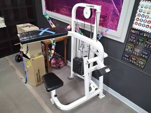 Cybex Ab Crunch Machine Selectorized 137.5 lb Weight Stack Commercial Gym
