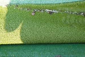 Turf