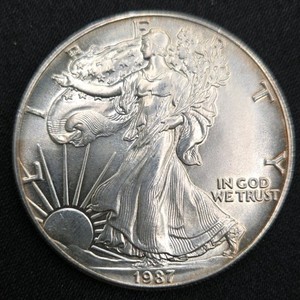 1987 American Silver Eagle $1  1 Troy Oz .999 Fine Silver Bullion Coin