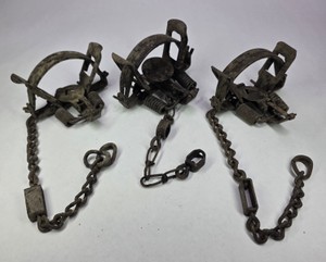 Lot of 3 Vintage Steel Animal Leg Hold Traps with Chains