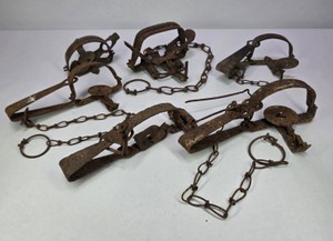 Antique Steel Animal Leg Hold Traps with Chains