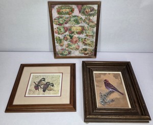 Lot of 3 Vintage Framed Bird Prints Nature Portraits & Floral Collage Art