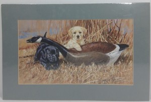 Labrador Retriever Puppies in Canada Goose Decoy Matted Hunting Art Print