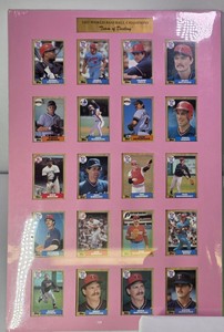 1987 Minnesota Twins World Series Champions Framed 20-Card Topps Team Set  Team of Destiny