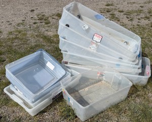 Lot of Assorted Plastic Storage Totes & Bins  Sterilite & Rubbermaid Style