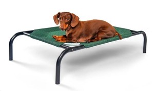 Coolaroo Elevated Pet Bed Pro, measuring 45 x 27.5
