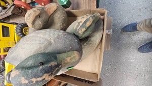 Carry Lite Dura Bean Paper Mache Duck Decoys, 40s or 50s(missing some eyes)