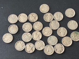 Buffalo Nickels Most No Date