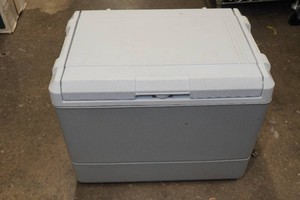 12V Electric Cooler