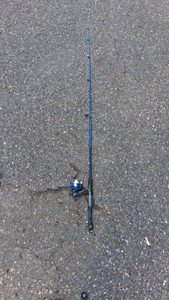 SHAKESPEARE NAVIGATOR MEDIUM ACTION ROD AND REAL COMBO