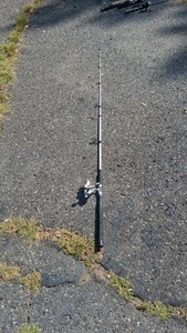 SHAKESPEARE TIGER MEDIUM ACTION 7 ROD AND REEL COMBO
