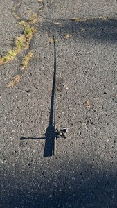 56 RED WOLF SPINNING ROD COMBO