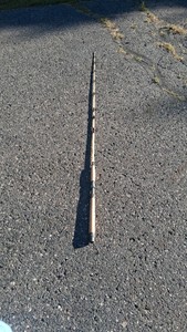 BERKLEY GLOW STICK CATFISHING ROD