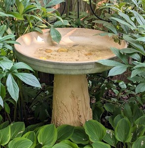 Y - Decorative Ceramic Birdbath - Pedestal Garden Bird Bath