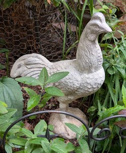 Y - Rooster Garden Decor Metal Sculpture