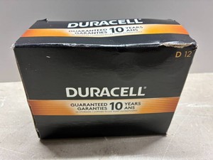 Duracell D Batteries