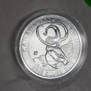 2024 2oz Canada Woolly Mammoth Silver Round