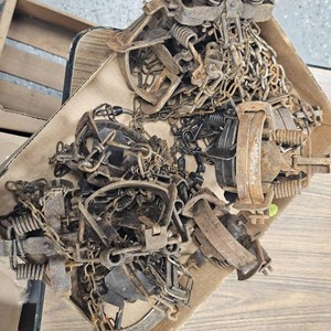 Traps-Conibear-Qty12