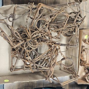 Traps-Body-Qty12