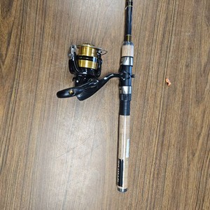 Diawa 66 F. Medium Spinning Rod Combo
