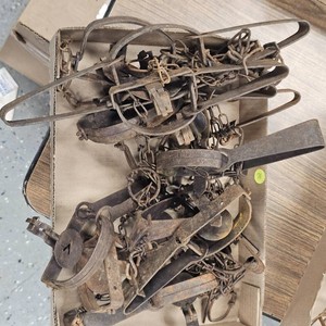 Traps-Foothold-Qty 12
