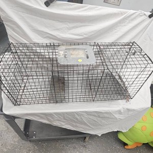 XL Live Trap, Like New