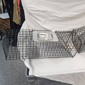 Pair of Live Traps
