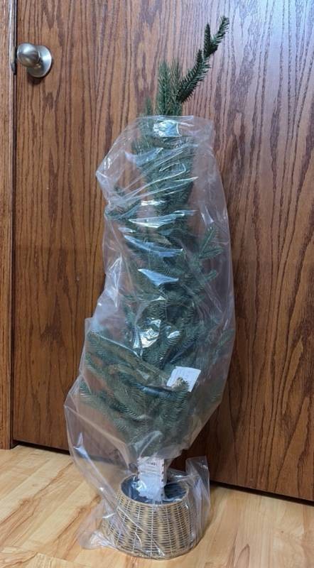 3 Table Top Tree