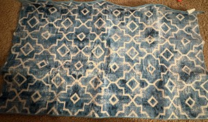 Indoor Area Rug Blue and White 58 x 36