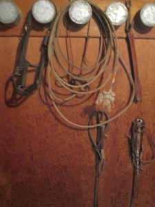 Assortment of Vintage horse tack shown on wall