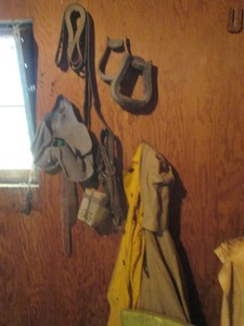 Stirrups, foal feeding muzzle and other horse tack