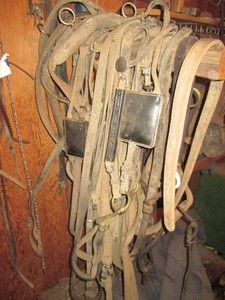 Large collection of bridles, harnesses, leeds and other horse tack