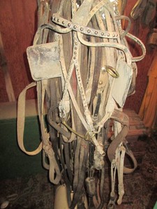 Large variety of horse blinders, bridles, leeds and other tack