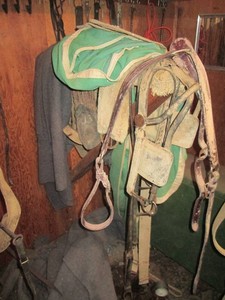 Horse blinders, stirrups and other tack