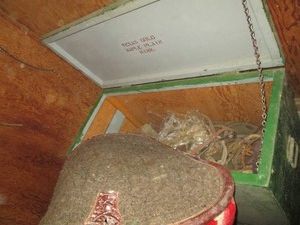 Vintage wood storage trunk containing a variety of newer show horse blankets