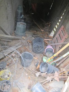Content of Shed to include misc shovels, landscape staples, planters, yard markers and more