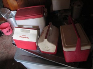 Collection of personal size insulated coolers