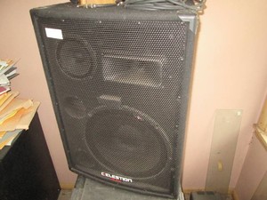 Celestion ER Series full range PA Cabinet with 15in speaker and horn