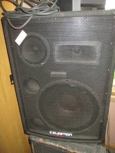 Celestion ER Series full range PA Cabinet with 15in speaker and horn