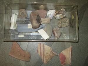 Azeck pottery chunks, fossils and rocks
