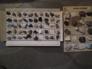 Label mineral rock collection