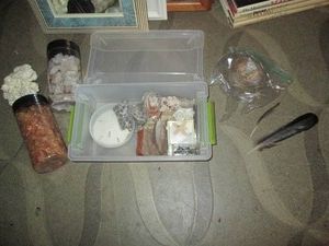 Sand dollars, seashells, feathers, polishrd and unpolished kelsite rocks and more