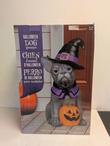 HALLOWEEN DOG GREATER